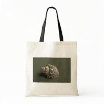 Spiral babylon (Babylonia spirata) Shell Bag