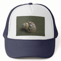 Spiral babylon (Babylonia spirata) Shell Trucker Hats