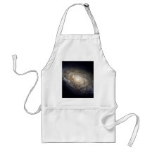 Spiral Galaxy Apron