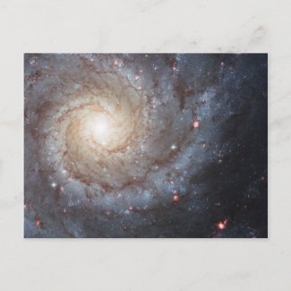 Spiral Galaxy M74 postcard