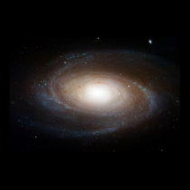 Spiral Galaxy  M81 posters