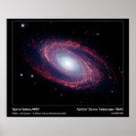 Spiral Galaxy M81 – Spitzer Space Telescope Poster