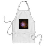 Spiral Galaxy Messier 101 aprons