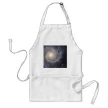 Spiral Galaxy Messier 74 NGC 628 Aprons