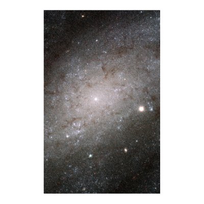 Spiral galaxy NGC 300. Poster by fmayhar