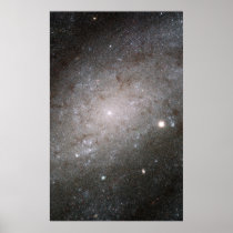 Spiral galaxy NGC 300. posters