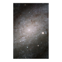 Spiral galaxy NGC 300. posters