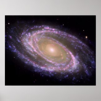 Spiral Galaxy Poster/Print - NASA image