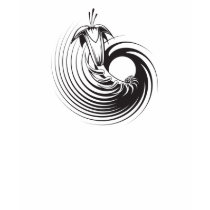 Spiral Plant Tattoo Design t-shirts by doonidesigns Spiral Plant Tattoo Design t-shirts