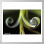 spiral posters