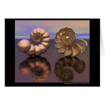 Spiral Shell cards