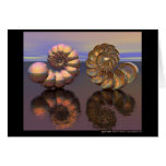 Spiral Shell Greeting Cards
