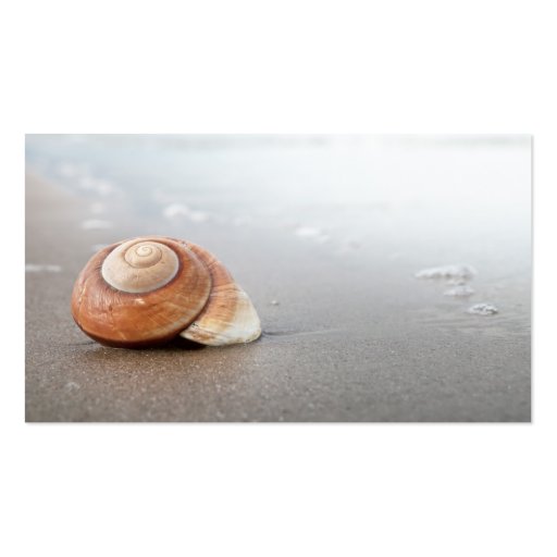 Spiral Shell On Sandy Beach Near Sea Business Cards (front side)