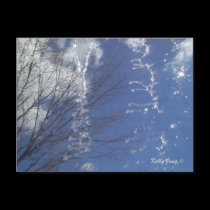 Spiraling Spring postcards