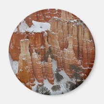 Spire In Bryce Canyon Refrigerator Magnet