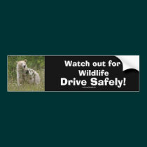 Spirit Bear Bumpersticker bumper stickers
