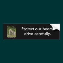 Spirit Bear Gifts bumper stickers
