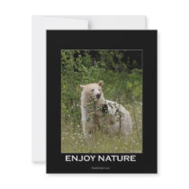 Spirit Bear Gifts invitations by HANDPRINTS Spirit Bear Gifts invitations
