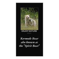 "Spirit Bear" gifts photo cards by HANDPRINTS "Spirit Bear" gifts photo cards
