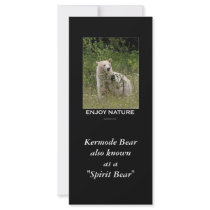 "Spirit Bear" gifts Rack Cards