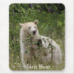 Spirit Bear Mousepads