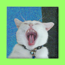 Spirit big yawn magnet