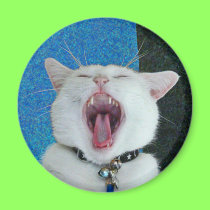 Spirit big yawn magnet magnets