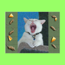 Spirit big yawn postcard postcards