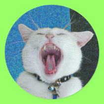 Spirit big yawn sticker
