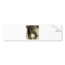 Spirit Bumper Sticker