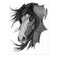 'Spirit' Clydesdale Stallion Horse Art Post Card