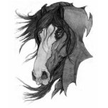 'Spirit' Clydesdale Stallion Horse Art