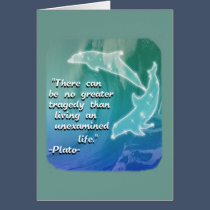 Spirit Dolphins cards