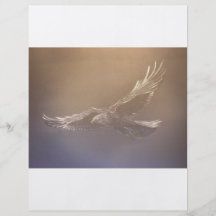 spirit flight full color flyer