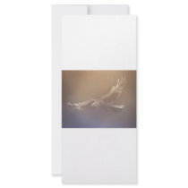 spirit flight customized rack card