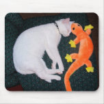 Spirit &amp; Gecko Mouse Pad