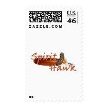 Spirit Hawk