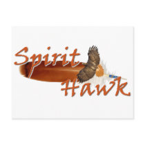 Spirit Hawk Post Cards