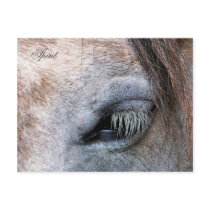 SPIRIT HORSE UK postcards by thewildside SPIRIT HORSE UK postcards