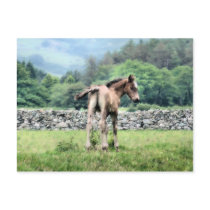 SPIRIT HORSE UK postcards by thewildside SPIRIT HORSE UK postcards
