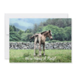 SPIRIT HORSES PERSONALIZED ANNOUNCEMENT