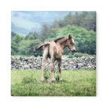 SPIRIT HORSES magnets