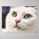 Spirit looks up #1 poster
