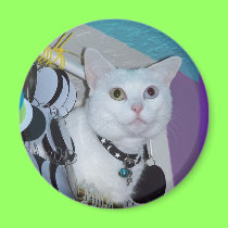 Spirit Magnet magnets