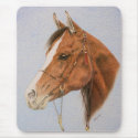 Spirit mousepads