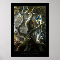 animals, tree, trees, bear, butterfly, butterflies, forest, scenery, dreamland, digital, painting, houk, art, artwork, illustration, digital art, surreal, surreal art, fantasy, fairytales, gifts, gift, magical, fun, funny, best, bestsellers, eerie, adorable, mystic, mood, mysterious, mystery, excellent, fabulous, cool, unique, awesome, amazing, wonderful, Poster with custom graphic design