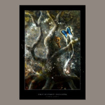 Spirit of Forest: Encounter posters