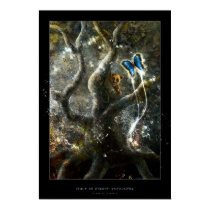 Spirit of Forest: Encounter posters