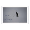 Spirit of Freedom posters by dirkw13 Spirit of Freedom posters