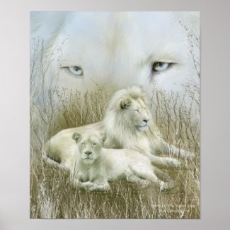 Spirit Of The White Lions Art Poster/Print print